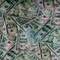 1 Yard Random Money Hologram Polyester Spandex Fabric 60 Inch Width